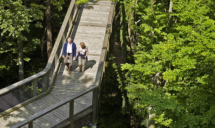 Baumwipfelpfad Bayerwald Freizeittipp  Baumwipfelpfad Bayerwald