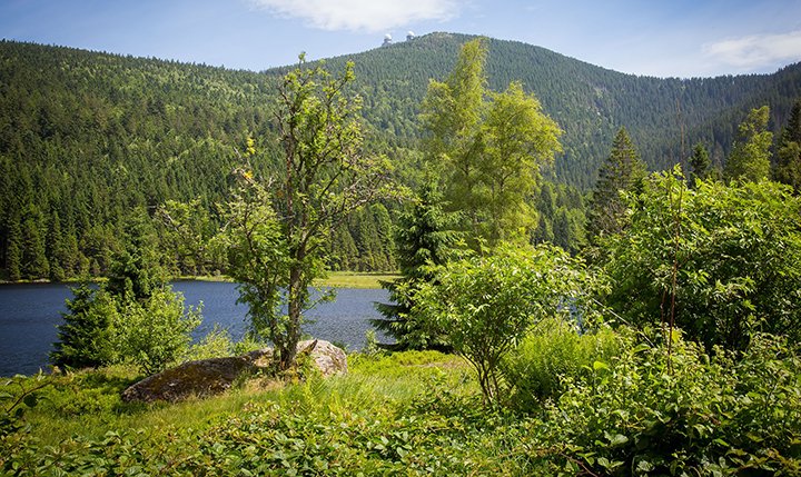 Freizeittipp  Den Großen Arber "erklimmen"