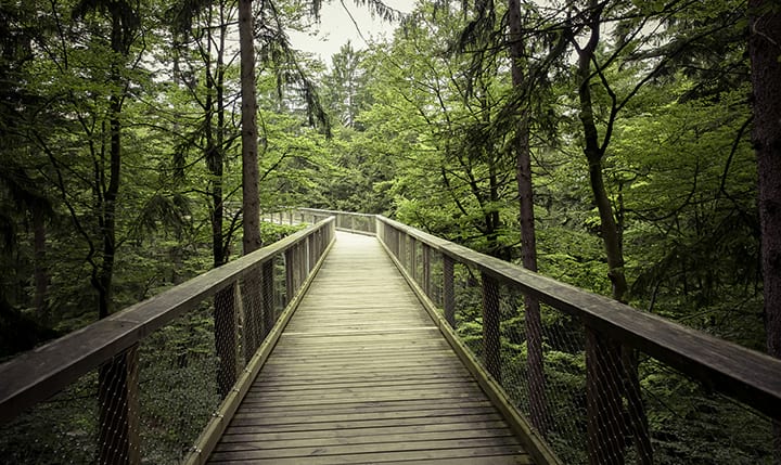 Freizeittipp  Wandern und Nordic Walking im Bayerwald