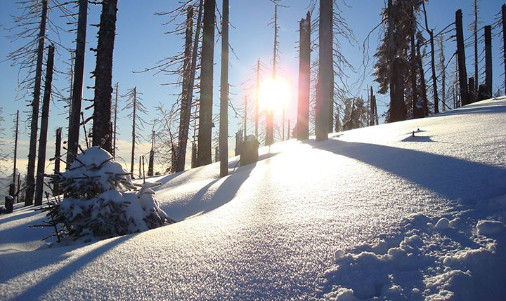 Freizeittipp  Winterurlaub im Bayerischen Wald