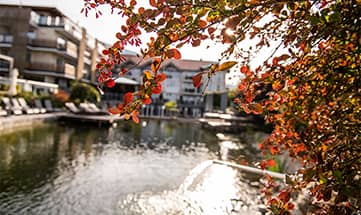 Blick durch Bäume auf den Naturbadeweiher