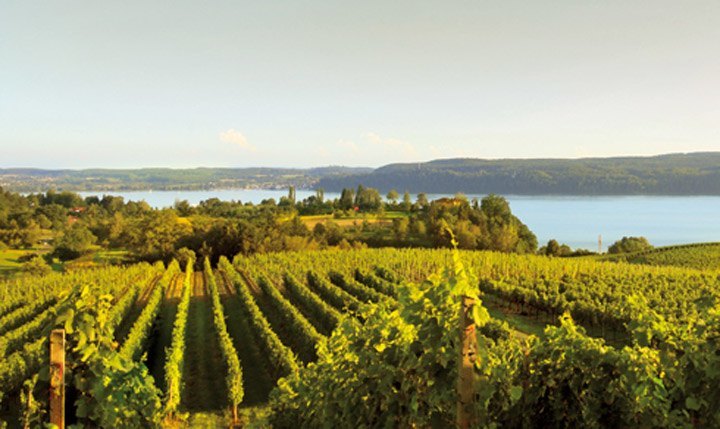 Freizeittipp  Der Bodensee