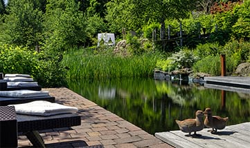 Naturteich zum Baden im Garten