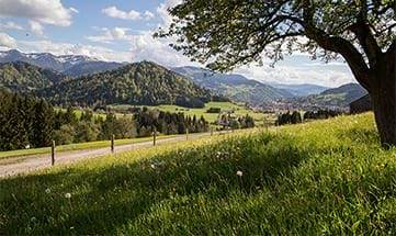 Aussicht auf die Landschaft rund ums Haubers im Frühling