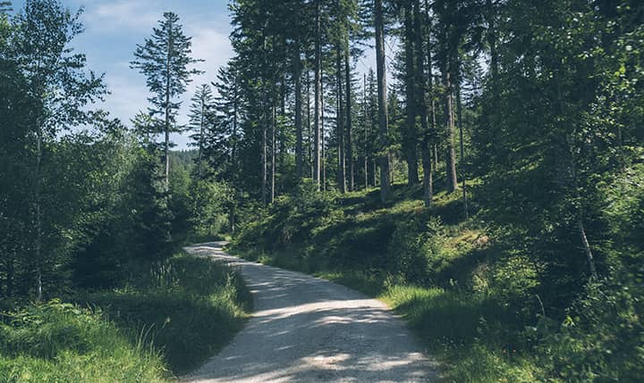 Freizeittipp  Aktiv im Bayerwald