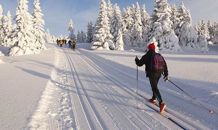 Freizeittipp  Langlauf im Bayerischen Wald