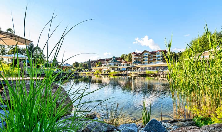 Angebot Frühjahrsspecial