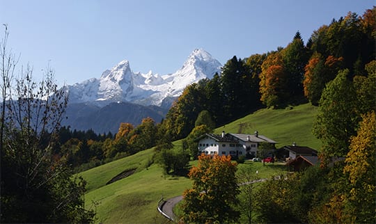 Grüne Wiese vor Bergpanorama