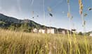 Hotelminibild Bergwiese