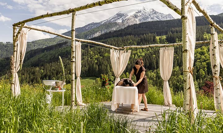 Hotelbild Bergwiesen Massage