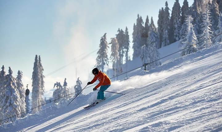 Freizeittipp  Ski & Snowboard Programm im Winter