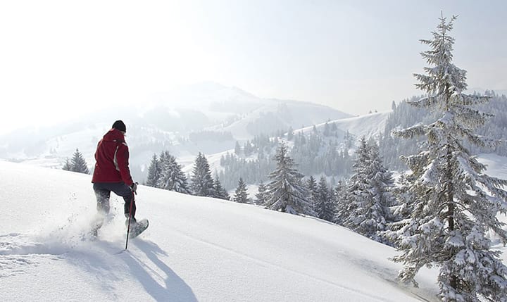 Freizeittipp  Winter im Bayerwald