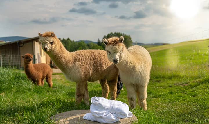 Freizeittipp  Natur im Sommer und im Winter erleben
