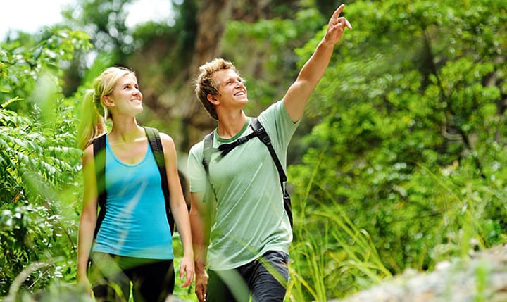 Freizeittipp  Wanderungen rund ums Viechtacher Land