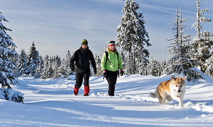 Freizeittipp  Winterurlaub im Zwieseler Winkel